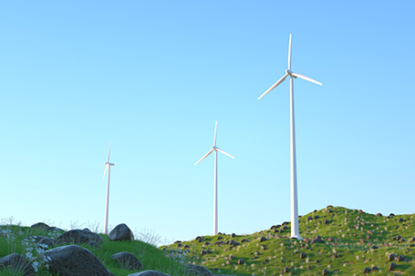 Cedar stone technology will be from meet